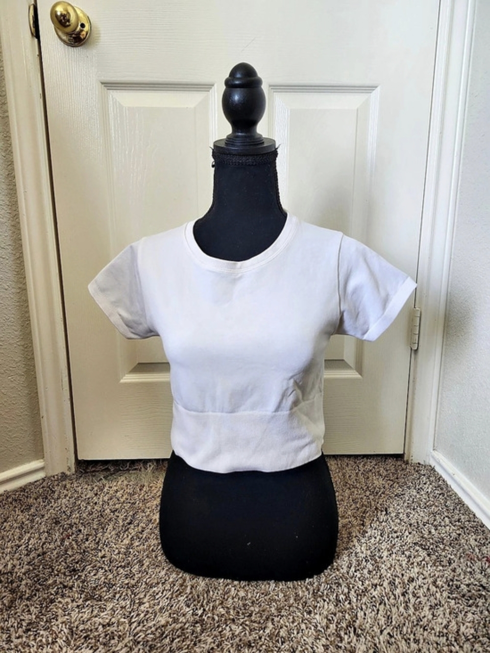 White Short Sleeve Cropped Top